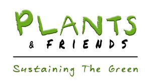Plants &amp; Friends 
