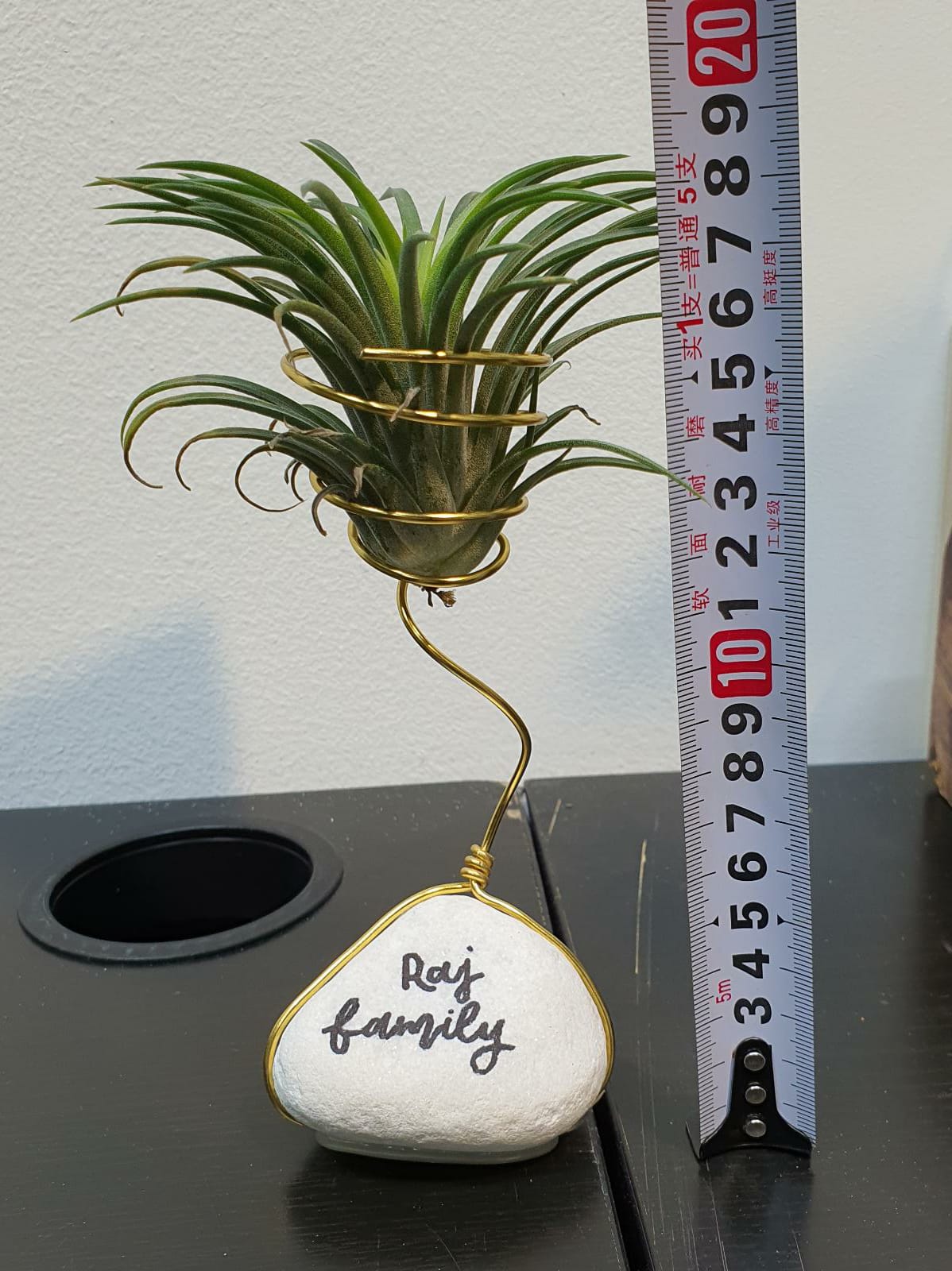 Hand made gift - air plant with stone. Each air plant is individually picked and all handmade.