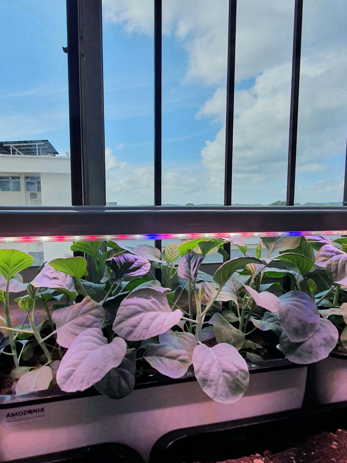 Grow Lights - 4 Tubes Bundle Kit (2ft and 4ft in length)