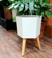 Load image into Gallery viewer, Smart Hexagon White pot with long wooden legs (IS Series) (PA13/1)
