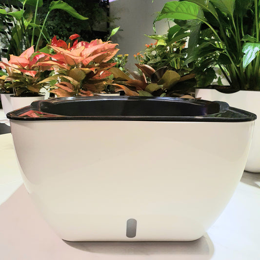 SW White Large Square Planter (PA4/a)