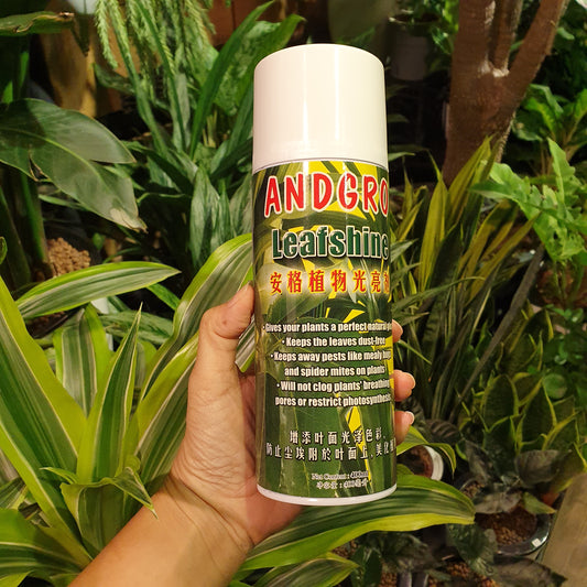 Angro Leafshine Spray