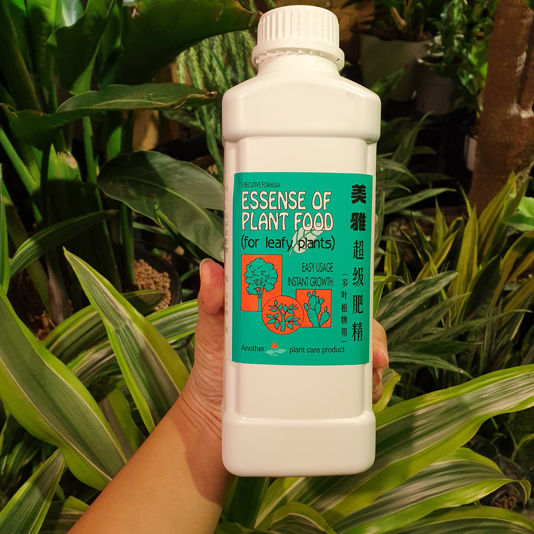 Essence of Plant Food (liquid fertiliser for leafy plants)