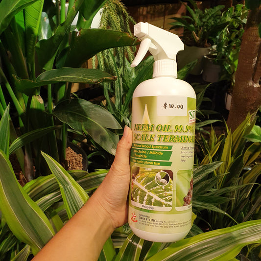 Neem Oil Spray (1 litre)