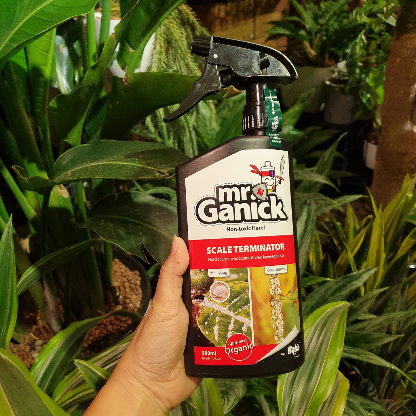 Mr Ganick Scale Terminator Organic Pesticide Spray