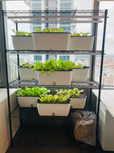 Load image into Gallery viewer, 4-tier Indoor Vegetables Growing Set

