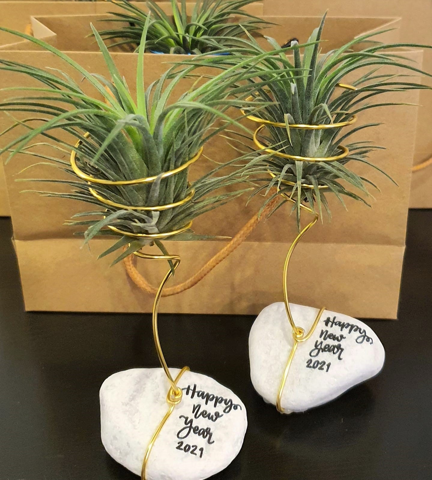 Tillandsia Ionantha (Air Plant) on Marble Stone