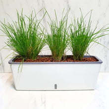 Load image into Gallery viewer, Self Watering Sleek Rectangle Pot - Pot Only (PA19)
